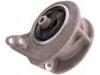 Engine Mount:11210-64J06