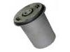 Suspension Bushing:55045-01A05