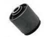 Suspension Bushing:55045-V0102