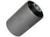 Suspension Bushing:55045-01N00