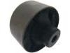 Control Arm Bushing:4120A001