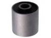 Suspension Bushing:4110A033