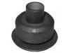 Suspension Bushing:MB518168